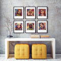 Set of 6: Drag Syndrome Series